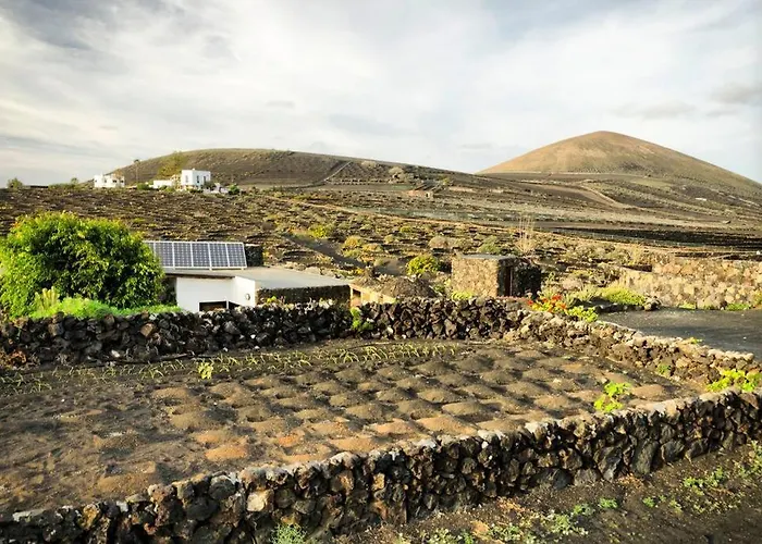 Frailes Eco B * Tinajo