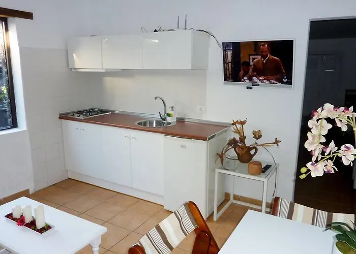 Frailes Eco B Tinajo